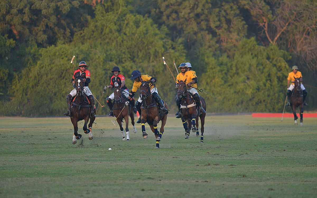 24th Jodhpur Polo season: The blue city braces for its annual polo extravaganza!