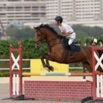 Zrey Dodhy wins gold on second day of Mumbai Horse Show 2024