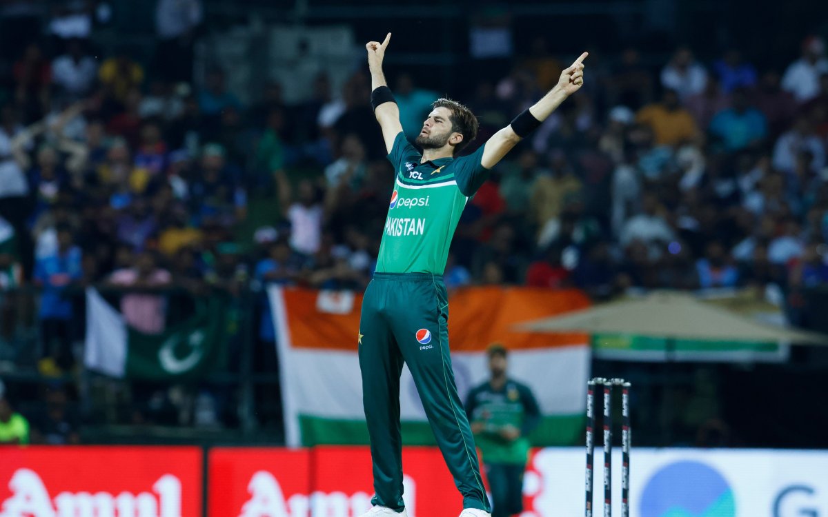 Afridi, Erasmus and Waseem in ICC Men’s Player of the Month shortlist for April