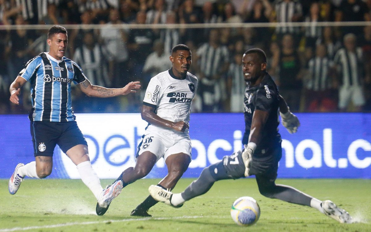 Serie A: Botafogo Overcome Gremio To Regain Top Spot