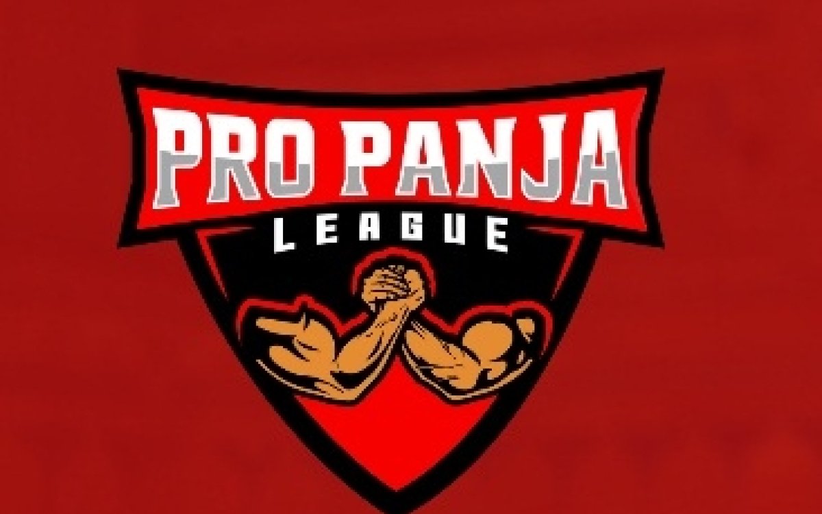 Pro Panja League season 2 postponed following co-founder's accident