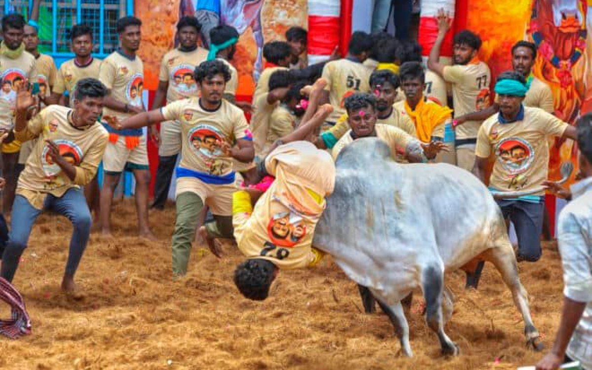 TN Minister Meyyanathan inaugurates Pudukkottai Jallikattu